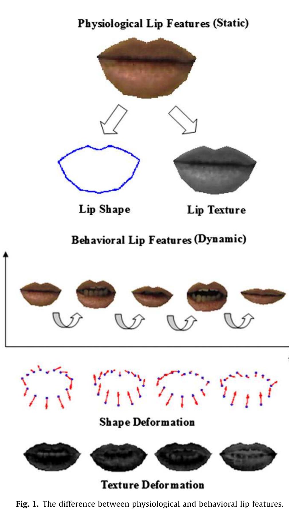 Figure 1 - from Physiological and behavioral lip biometrics: