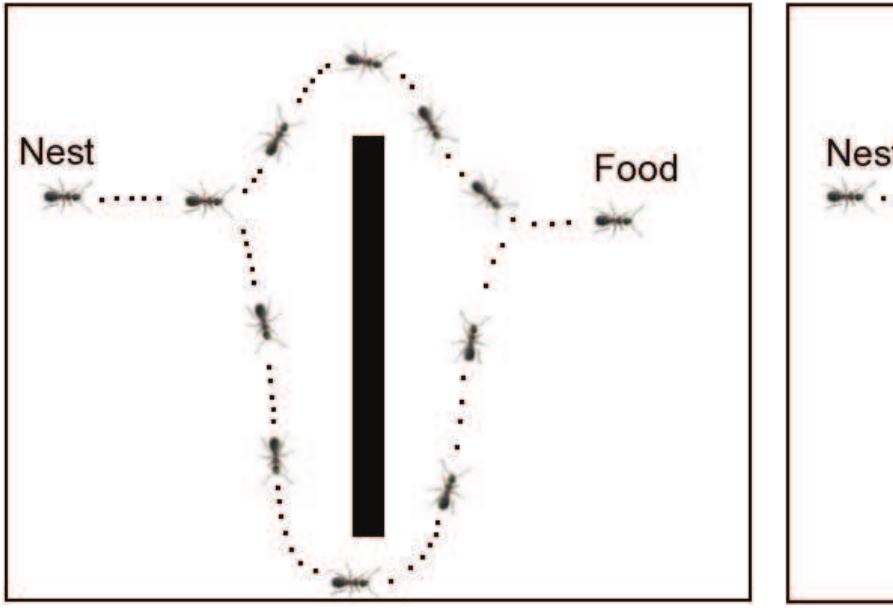 Figure 44 - from ANT COLONY OPTIMIZATION METHODS AND