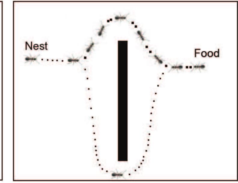 Figure 44 - from ANT COLONY OPTIMIZATION METHODS AND