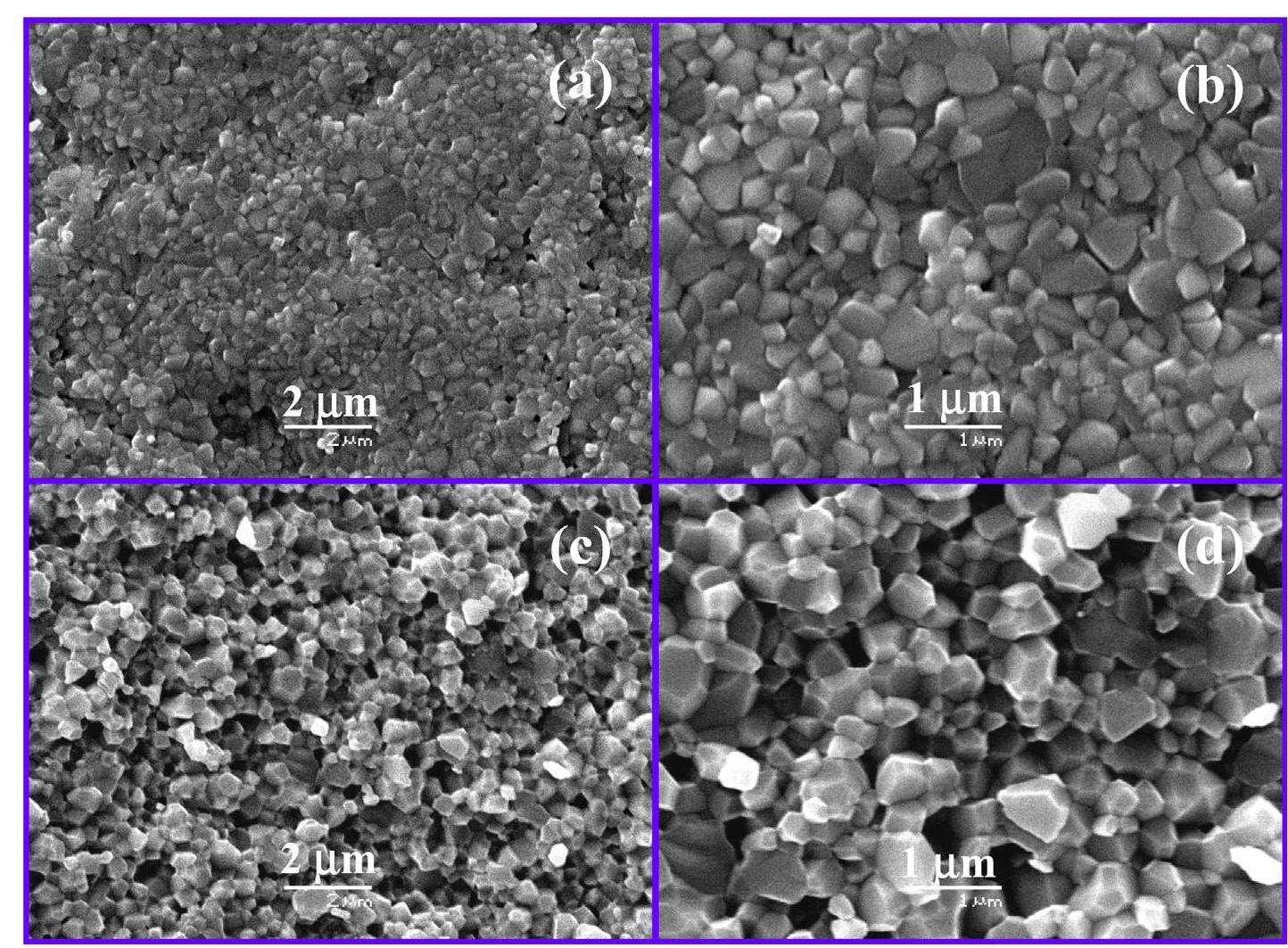 Sem 1200 Sem images of the (a,b) sintered surface and (c,d) fracture