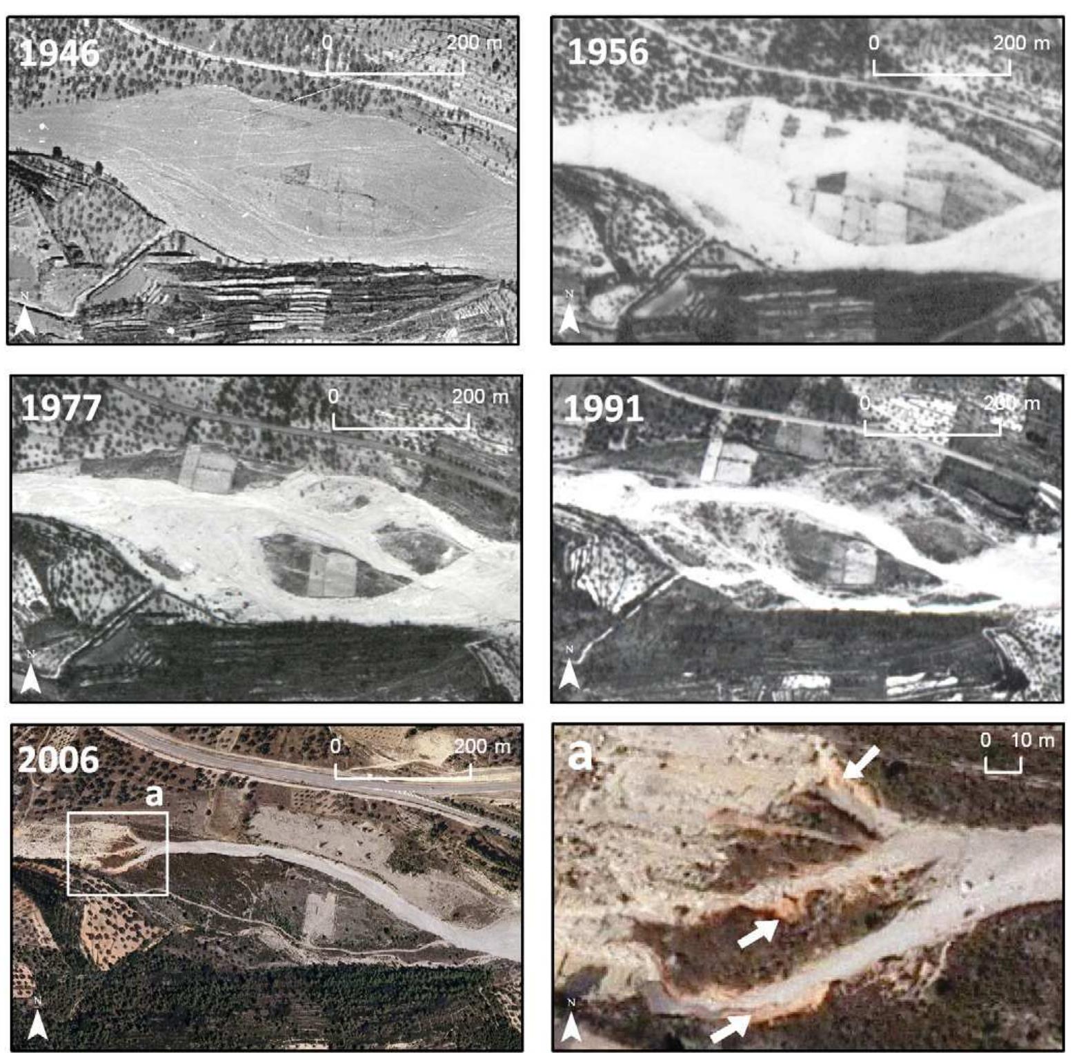 Evolution of corridor forms in a representative reach of the