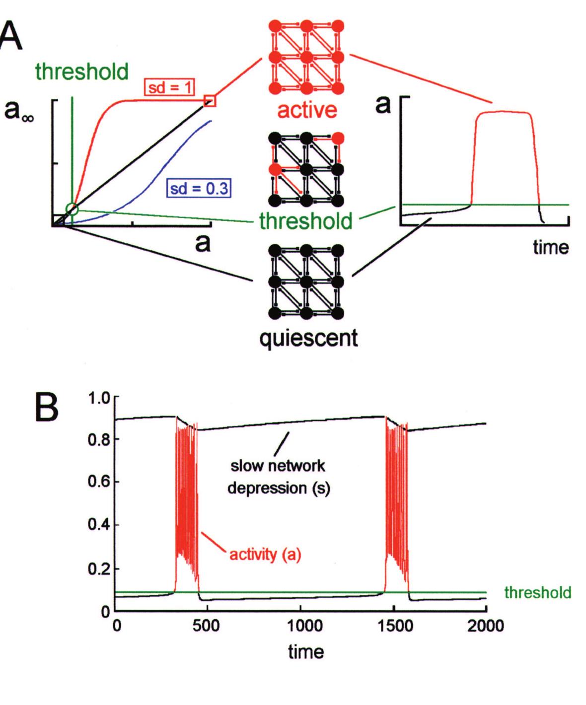 Figure 2 - from Mechanisms of Spontaneous Activity in the