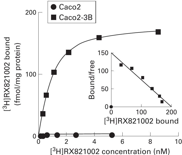 Schematic map of the bicistronic expression vector used for