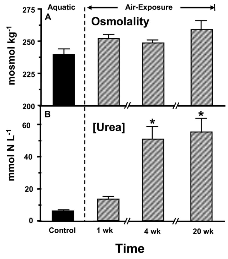 Differences in plasma osmolality (a) and urea concentrations