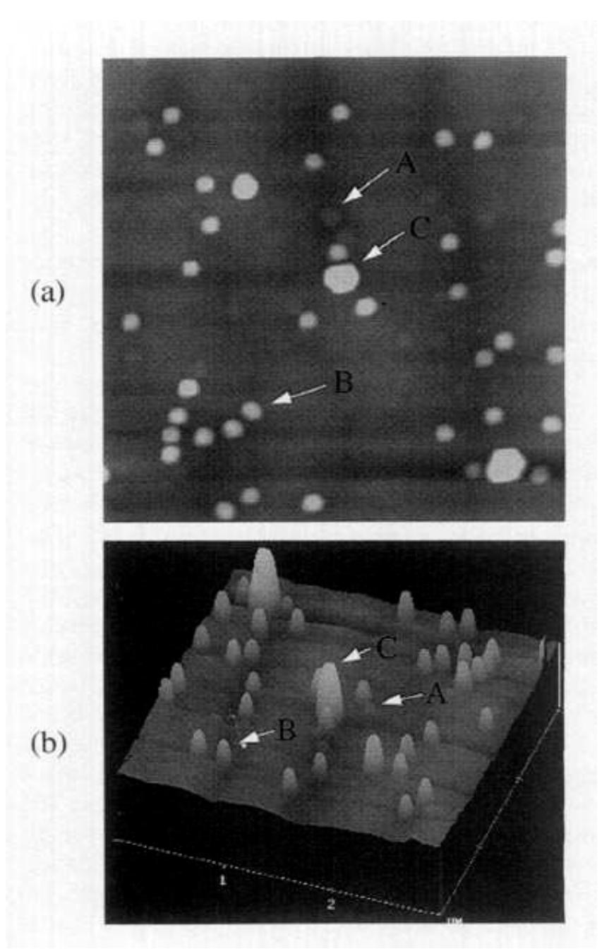 (PDF) MBE and MOCVD growth and properties of self-assembling quantum ...