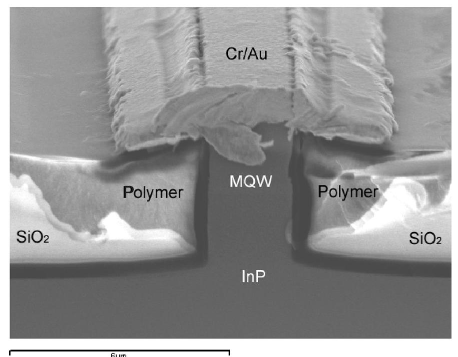 Self Aligned Ridge Process Sem image of planarized electrode structure. photosensitive