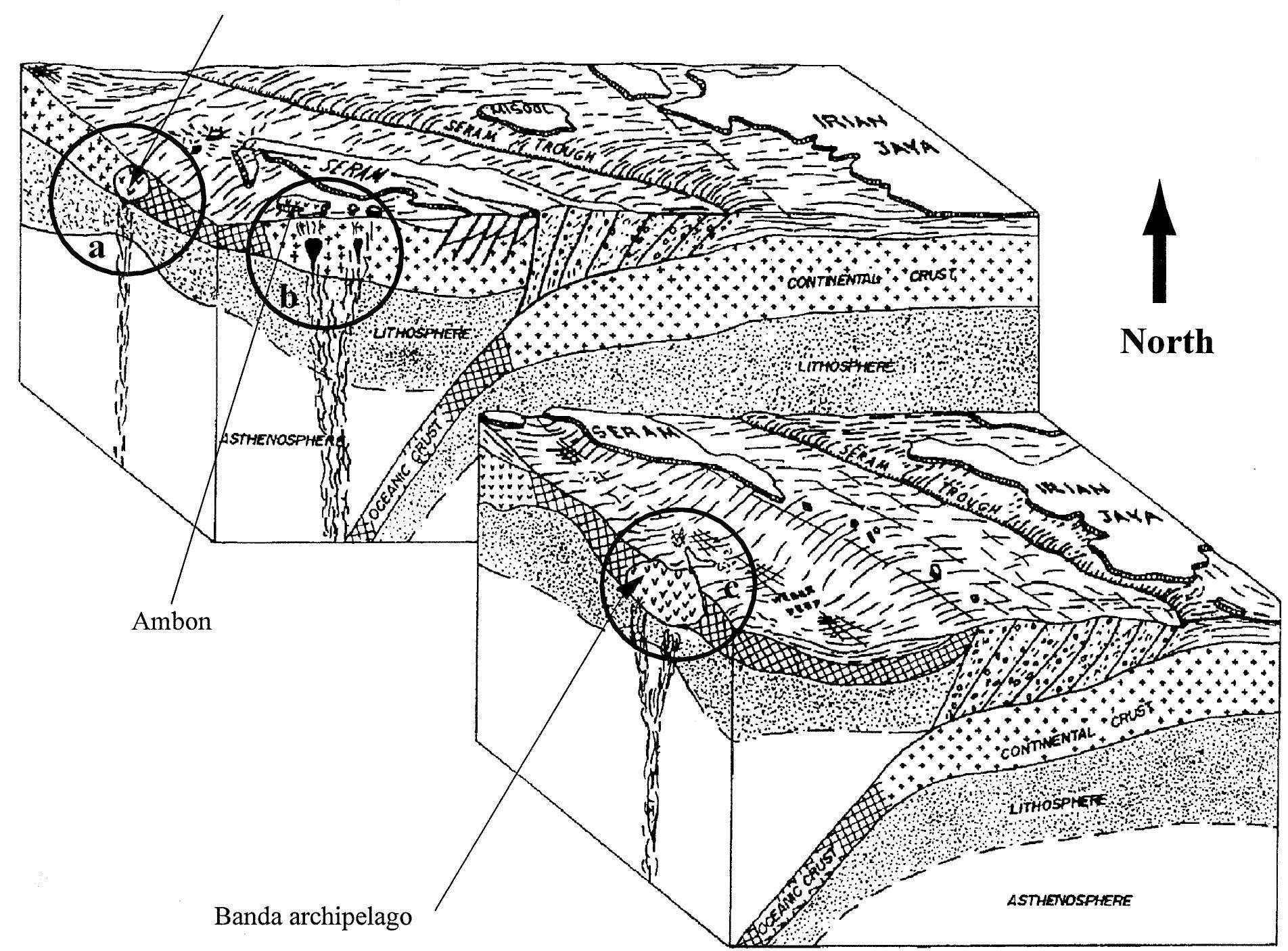 Schematic cross-section through the ambon arc showing