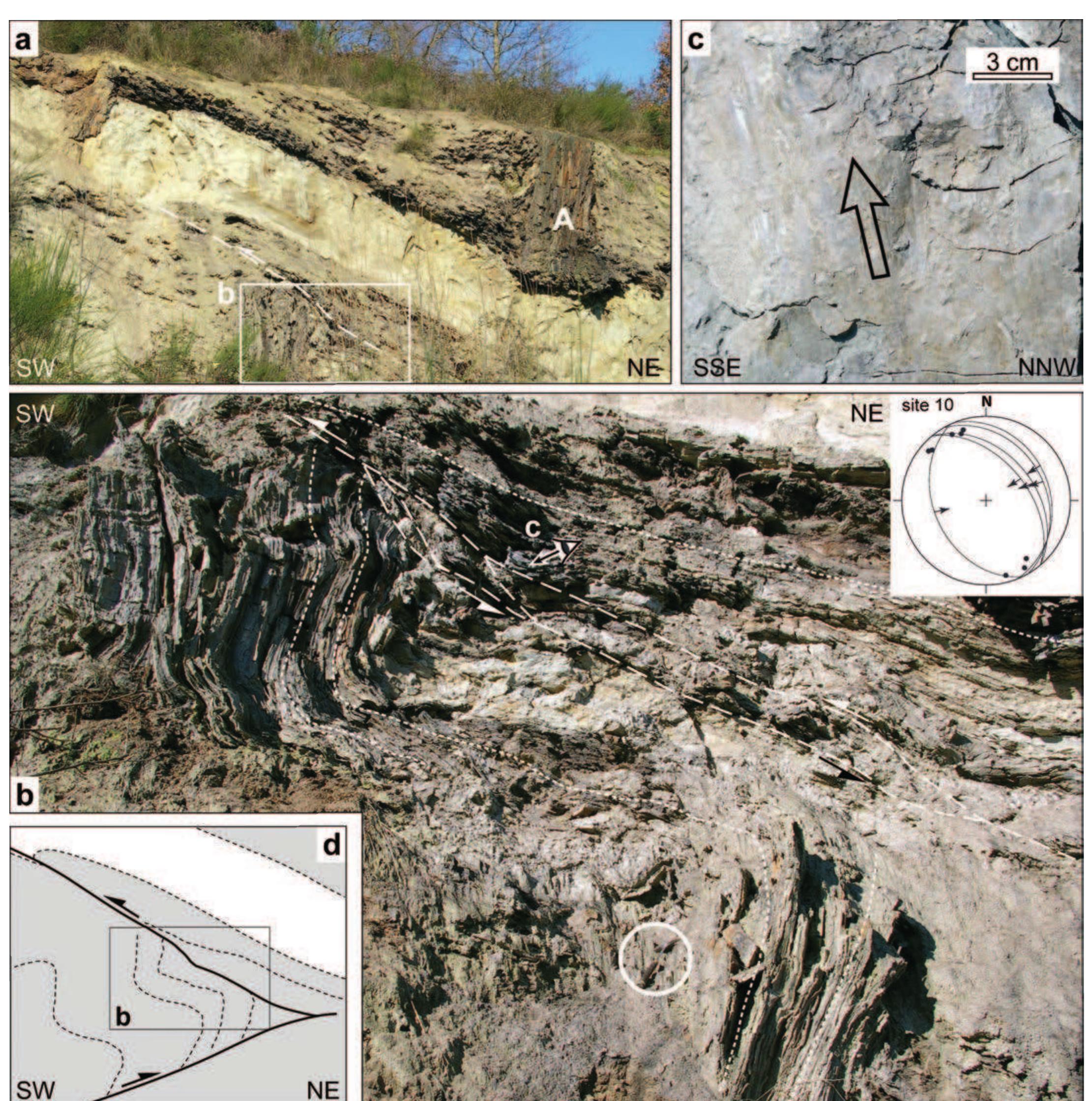 Centers Archives - POINT-7, image size:2221x2240