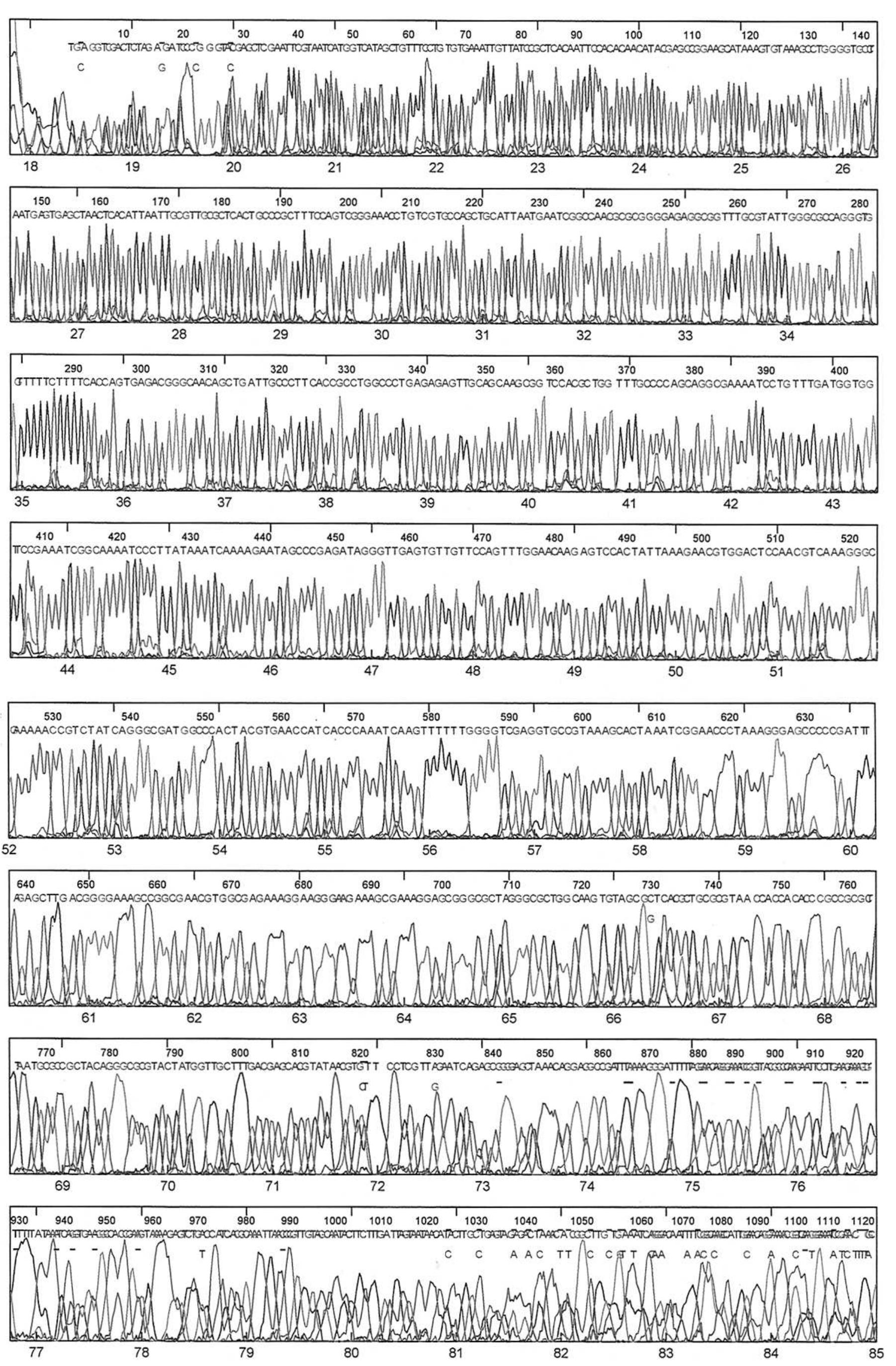 (PDF) Rapid DNA Sequencing of More Than 1000 Bases per Run by Capillary ...