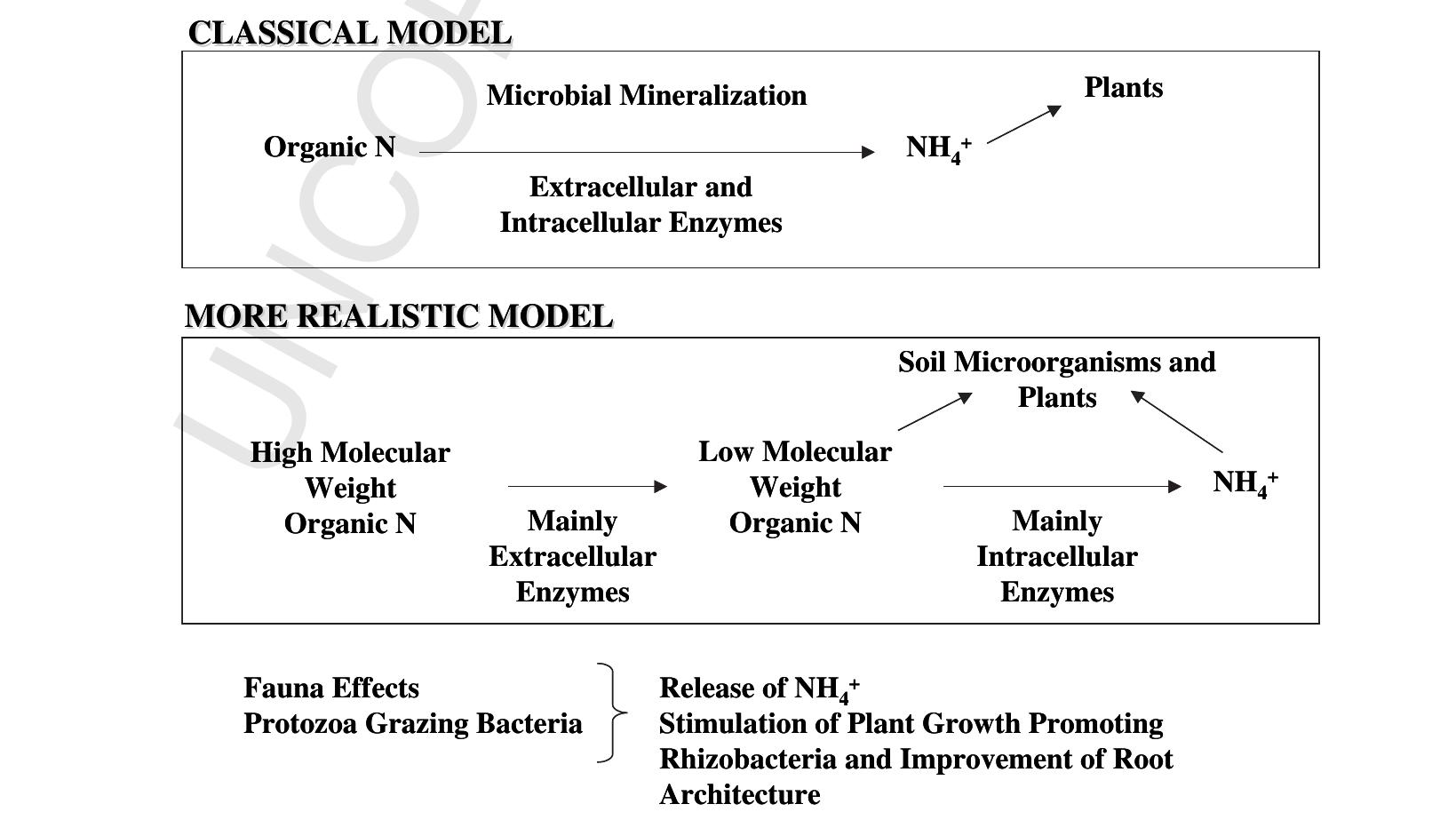(PDF) Visions of a more precise soil biology
