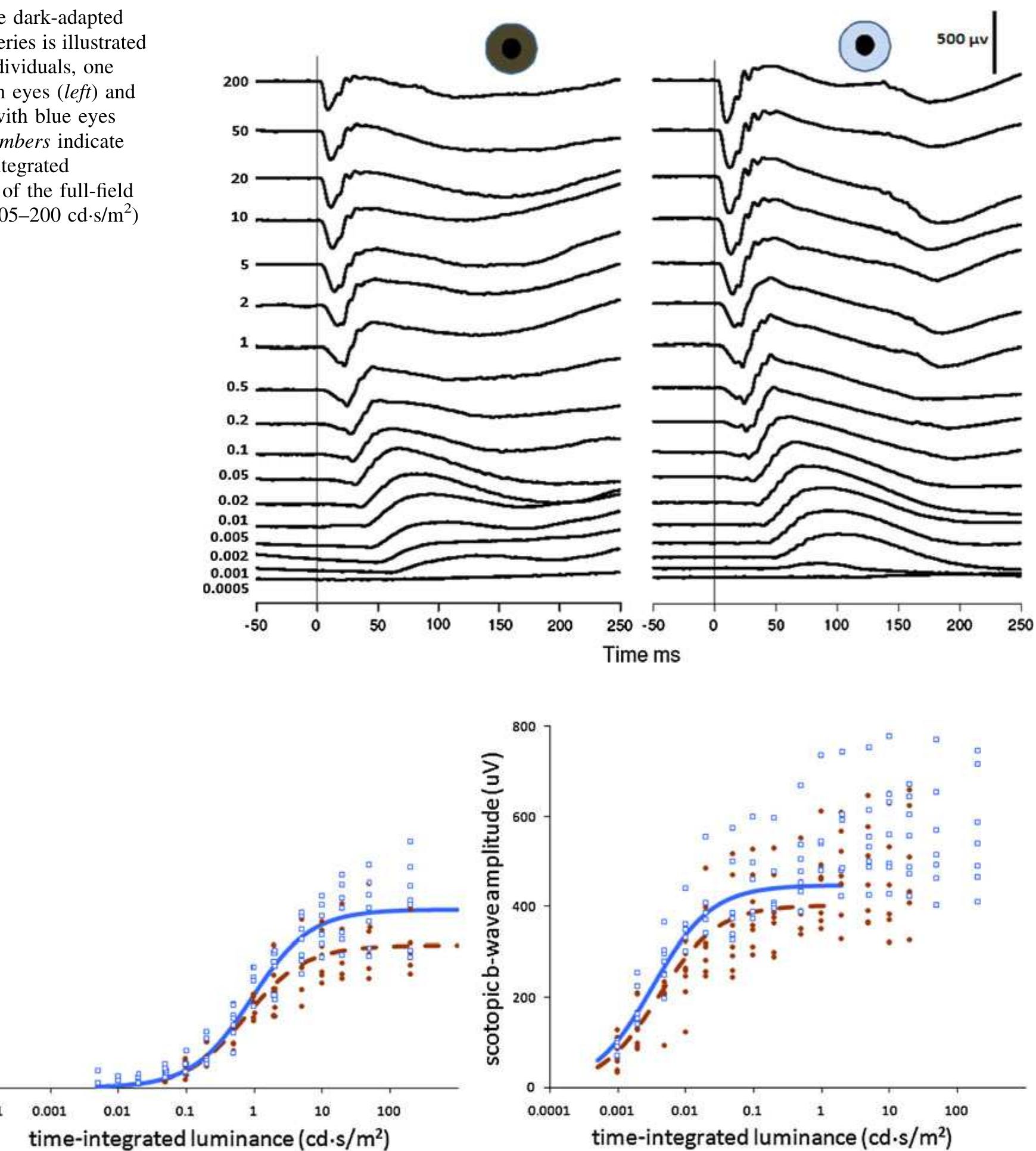 (PDF) Light-and dark-adapted electroretinograms (ERGs) and ocular ...