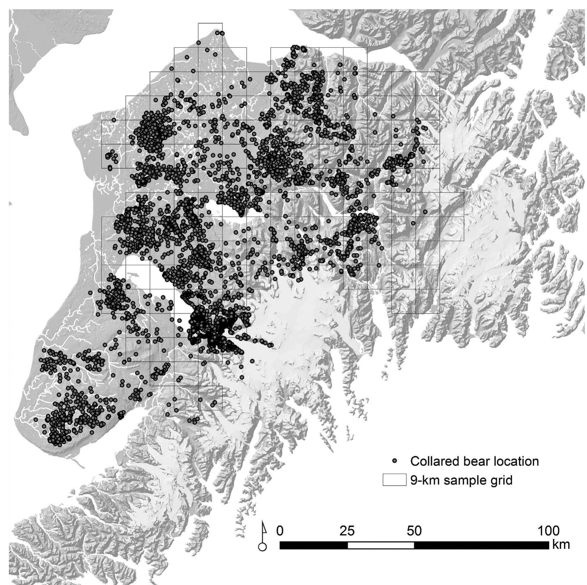 (PDF) Estimation of the brown bear population on the Kenai Peninsula ...