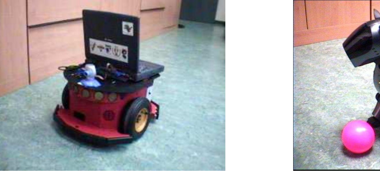 Figure 3: Pioneer and Aibo robots at the Rey Juan Carlos University 