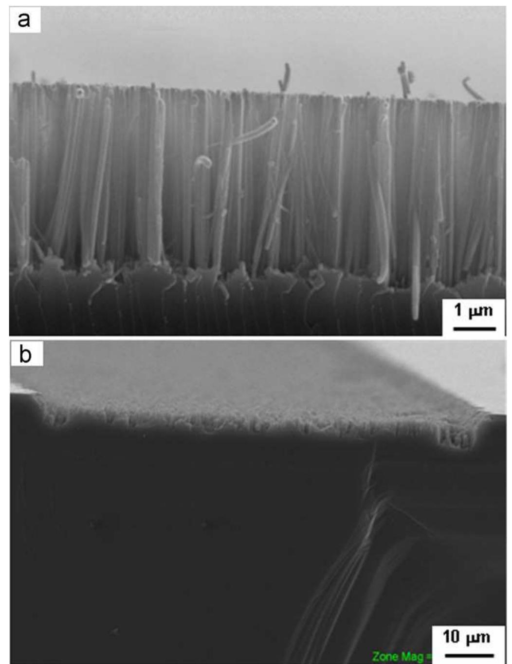 (PDF) Fabrication of silicon nanowire arrays based solar cell with ...
