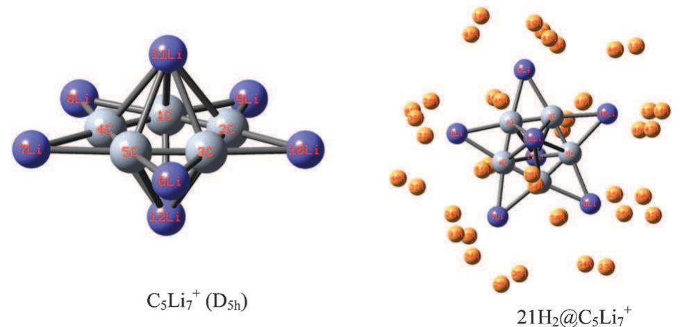 Optimized structures of csliz* and its 21h,@csli,* analogue