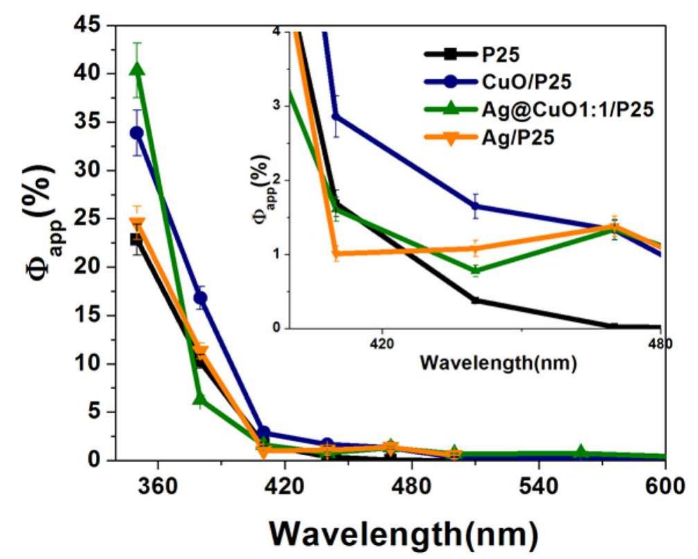 (PDF) Surface Modification of TiO 2 with Ag Nanoparticles and CuO ...
