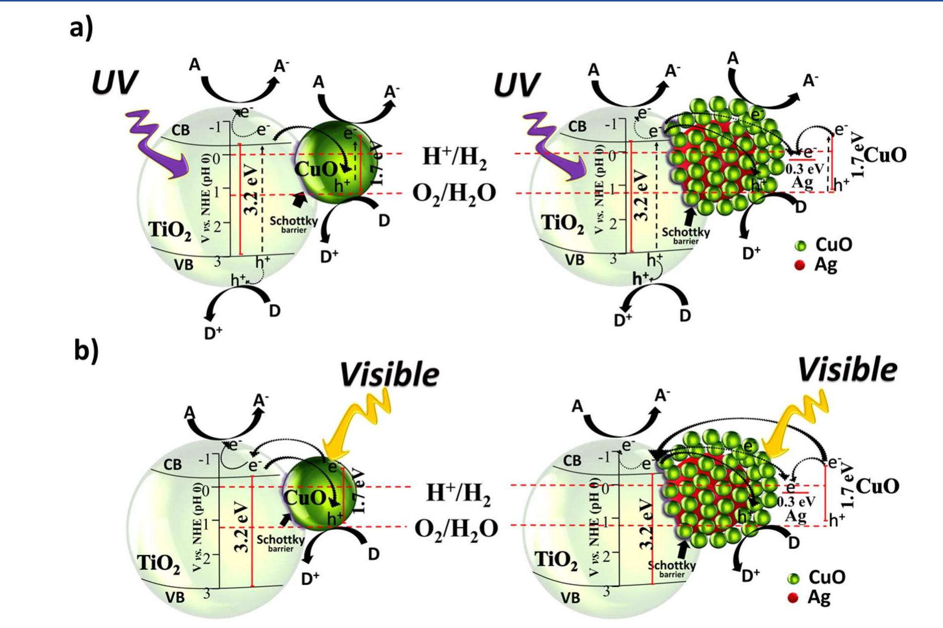 (PDF) Surface Modification of TiO 2 with Ag Nanoparticles and CuO ...