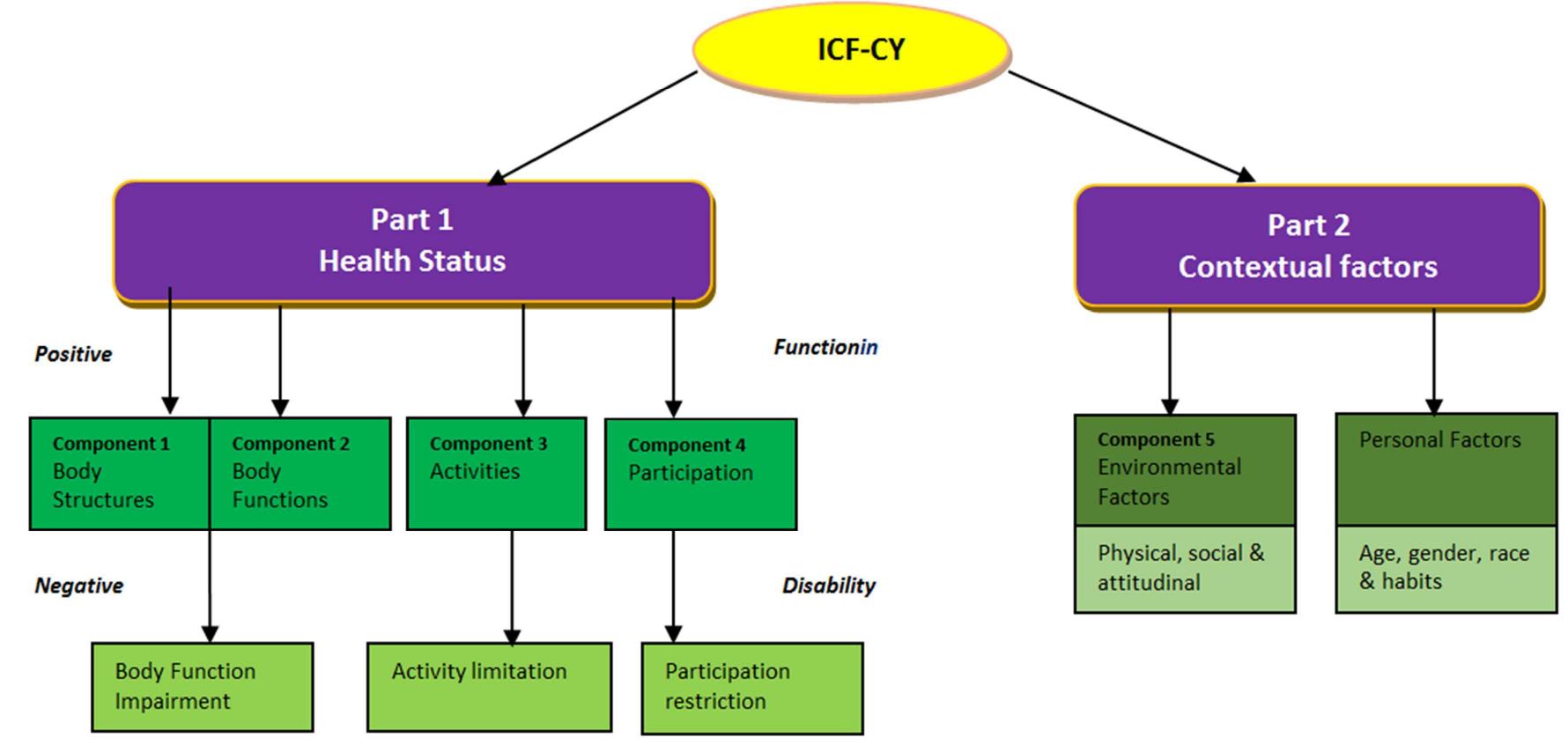 (PDF) Use of the International Classification of Functioning ...