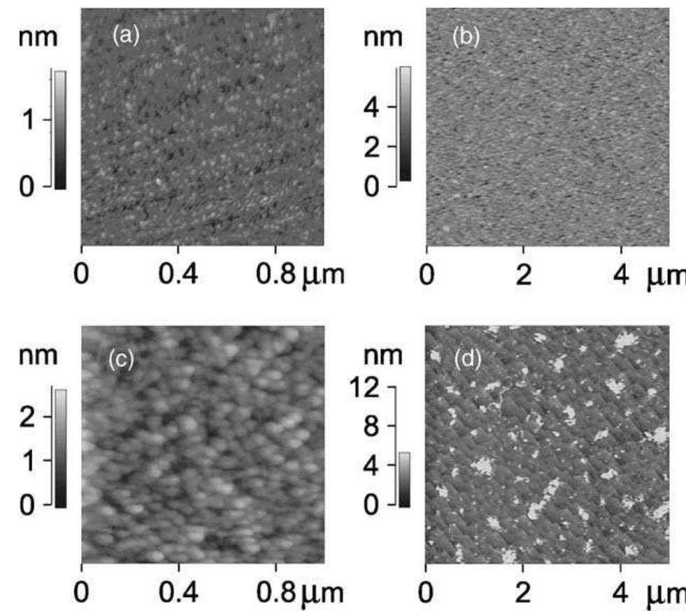 (PDF) Gas sensing properties of epitaxial SnO2 thin films prepared by ...
