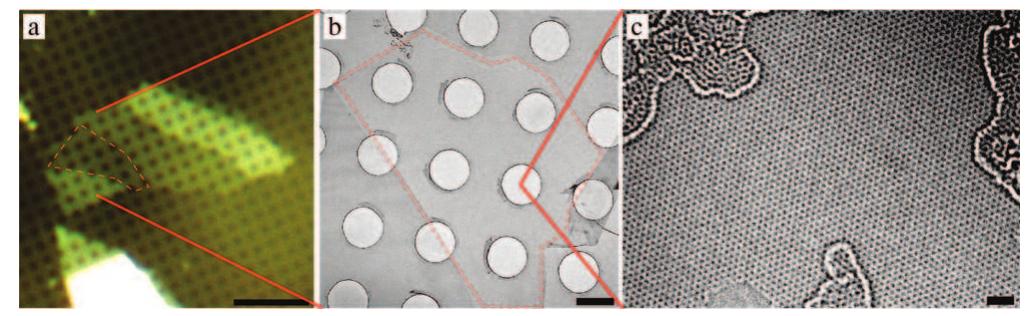 (a) optical micrograph, and (b) low-magnification tem image