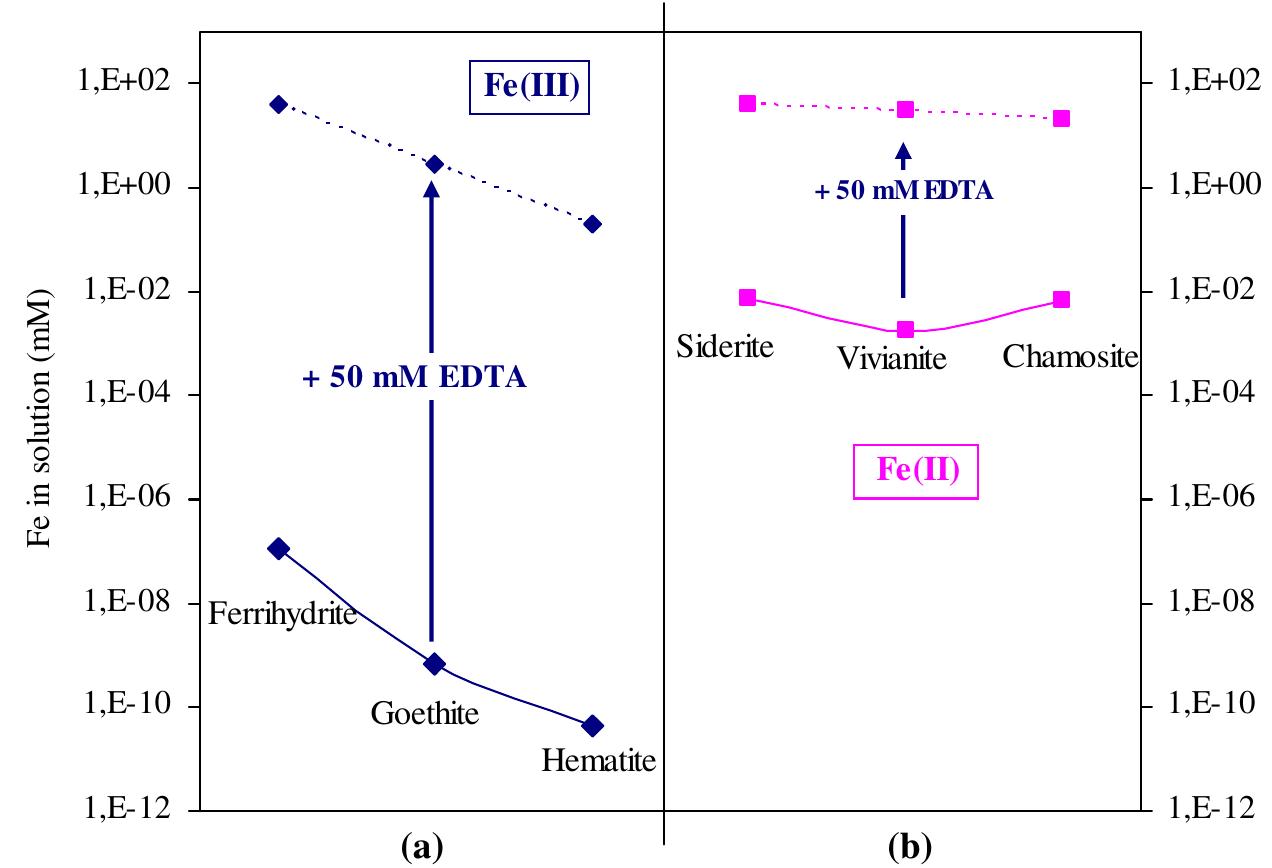Fig. 3. Thermodynamically predicted solubilities of common Fe(III) and Fe(II) compounds at pH 7, with and without EDTA in the solution. Calculations were carried out using VMinteq software (Gustafsson, 2003). The database was completed with thermodynamic properties for chamosite (FesAl2Si3019(OH)g) from Saccocia and Seyfried (1993). The aqueous phase was considered to have the composition of the solution used during the experimental work (see Section 2.2). 