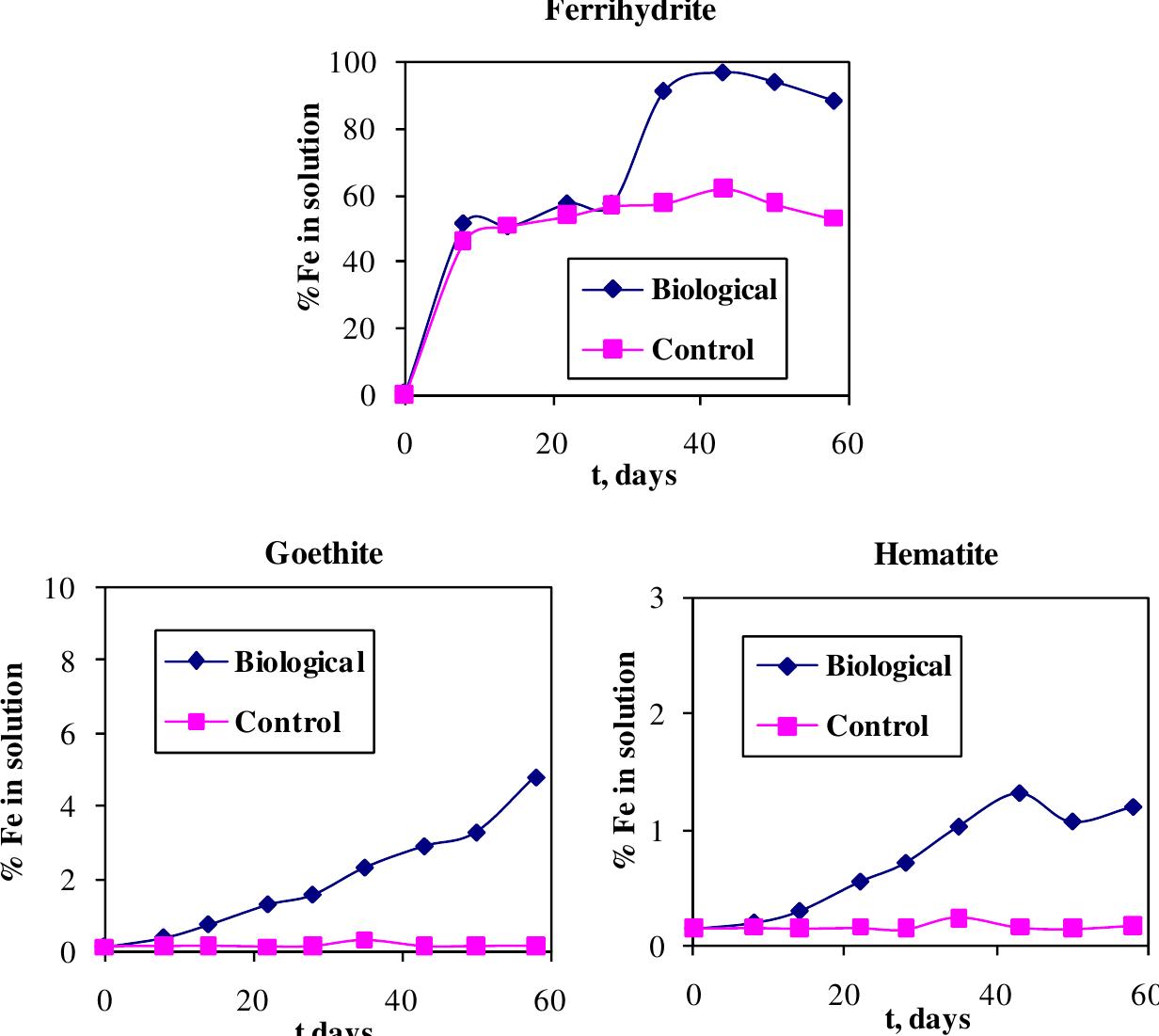 Fig. 4. Dissolution of Fe during the treatment of iron oxyhydroxides with D. palmitatis in the presence of Na-EDTA. Comparison with control (abiotic) experiments. 