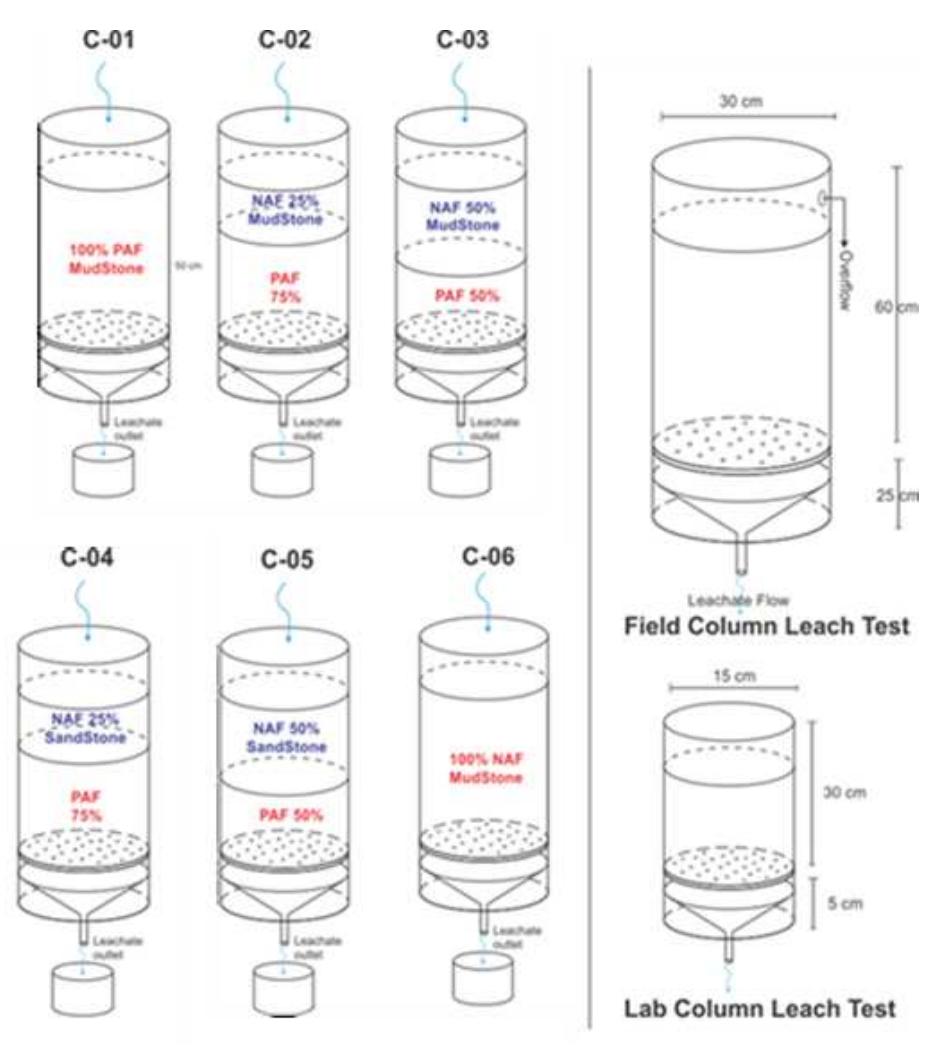 Figure 1 Scheme of kinetic test (left) and dimension of column (right) 