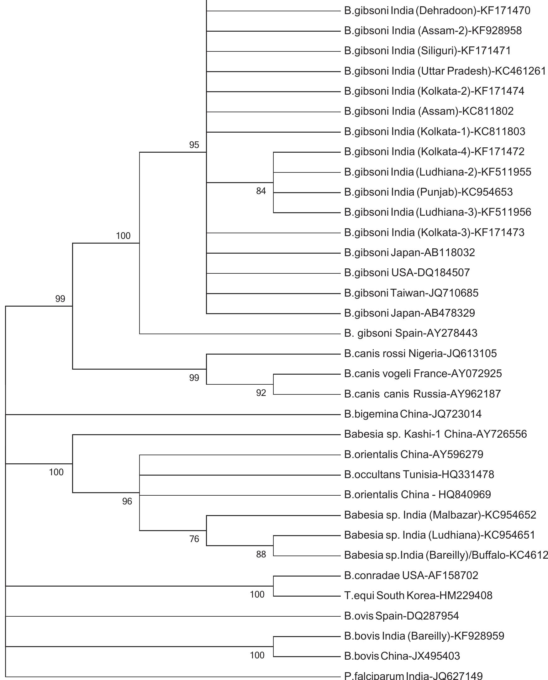 (PDF) Genetic characterization and phylogenetic relationships based on ...