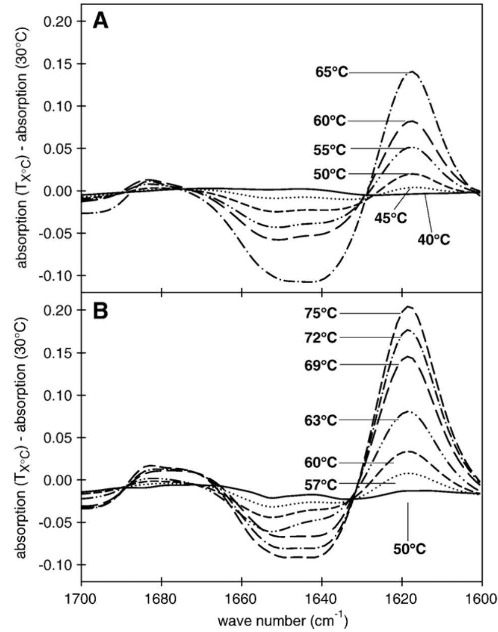 Figure 7 - from Protection by sucrose against heat-induced