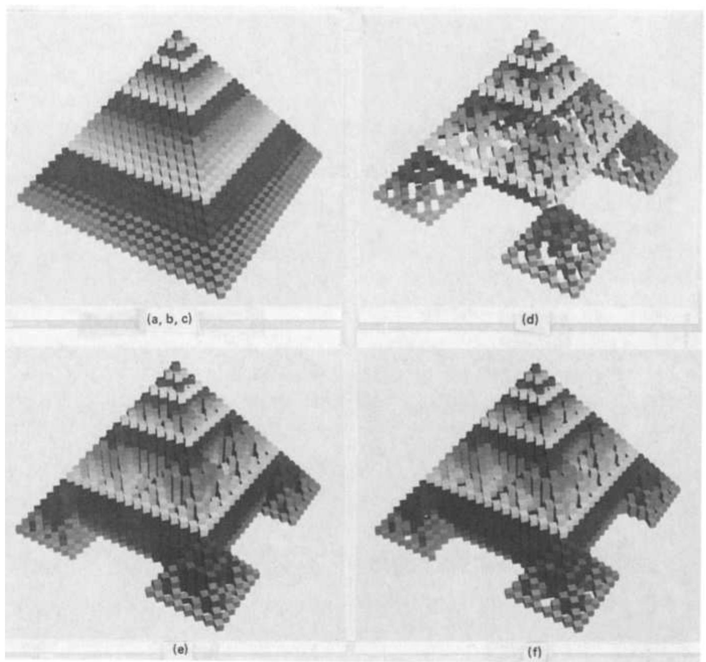 (PDF) Two-dimensional cellular automata