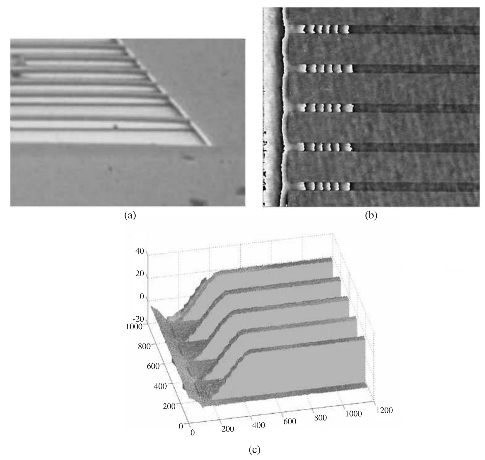(PDF) A digital holographic microscope for complete characterization of ...