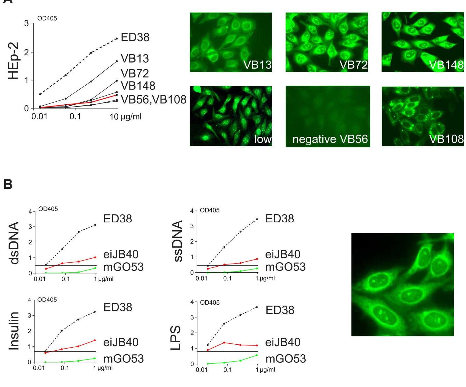 (PDF) Efficient generation of monoclonal antibodies from single human B ...