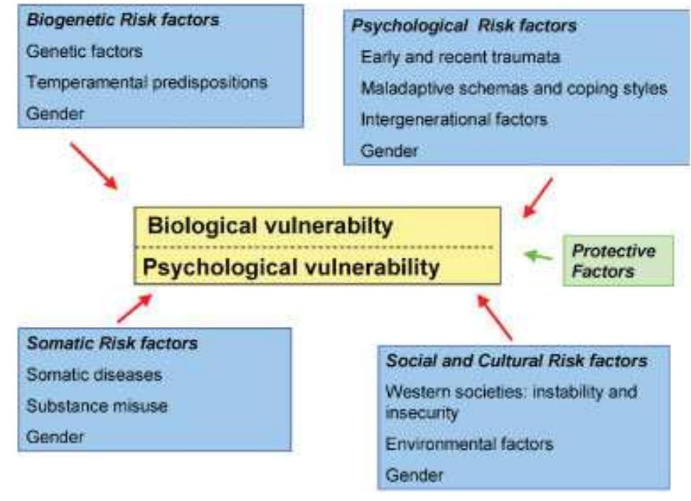 (PDF) A biopsychosocial model as a guide for psychoeducation and ...