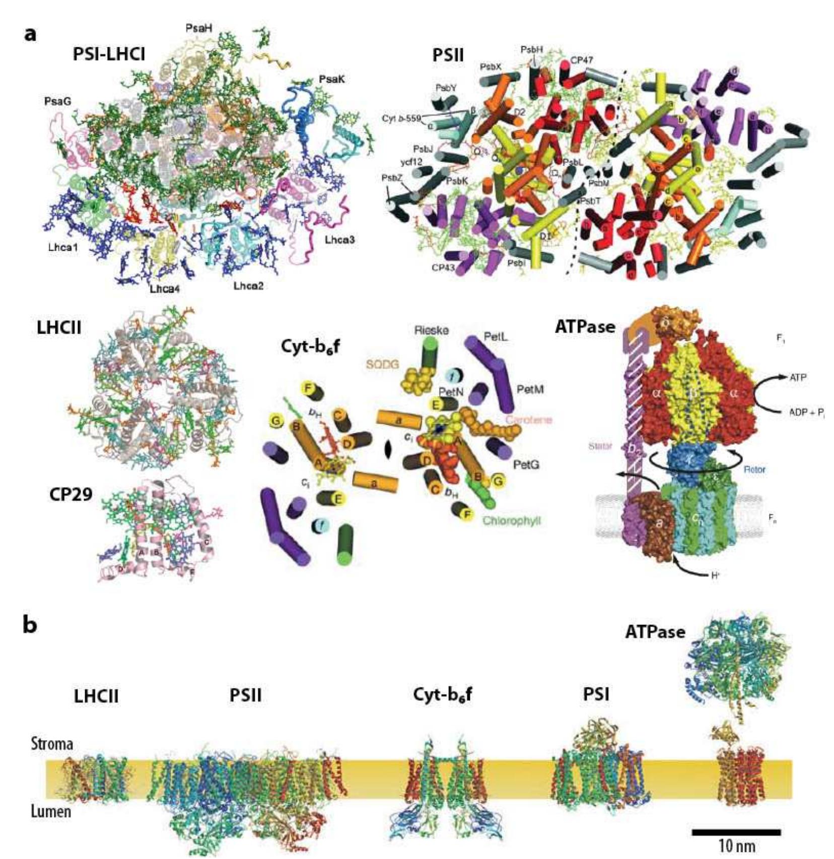 Figure 28 - from Multiscale analysis and optimisation of