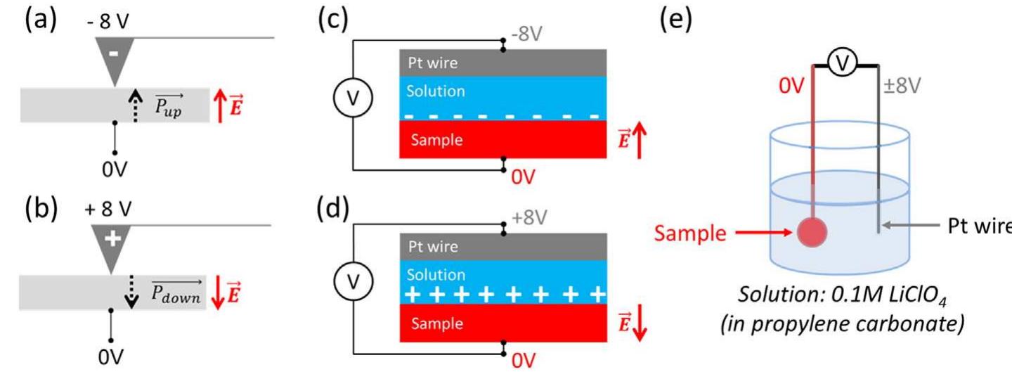 Figure 1 - from Manipulating the ferroelectric polarization