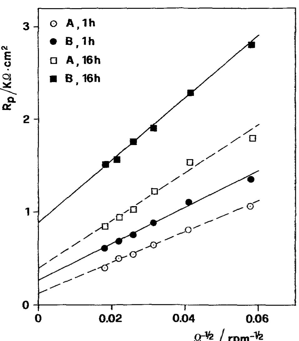 Fig. 9. Polarization resistance (per unit area) of Cu in aerated 0.5M NaCl as a function of rotation rate and immersion time.  4. Discussion  4.1. Electrodissolution 