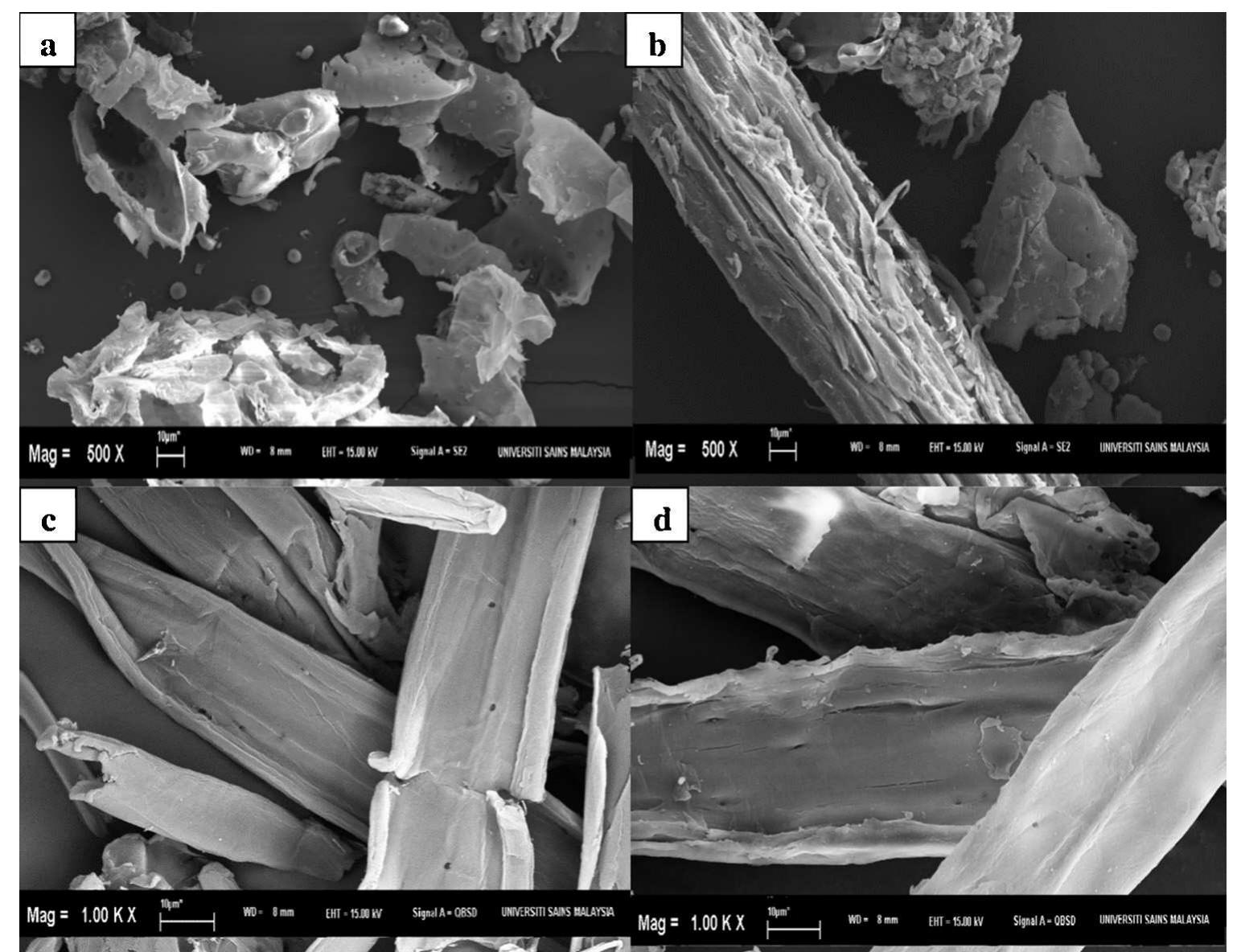 (PDF) Cellulose nanocrystals isolated from oil palm trunk
