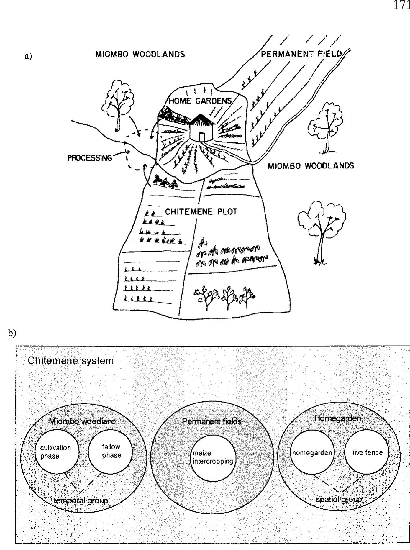 (PDF) A general classification of agroforestry practice
