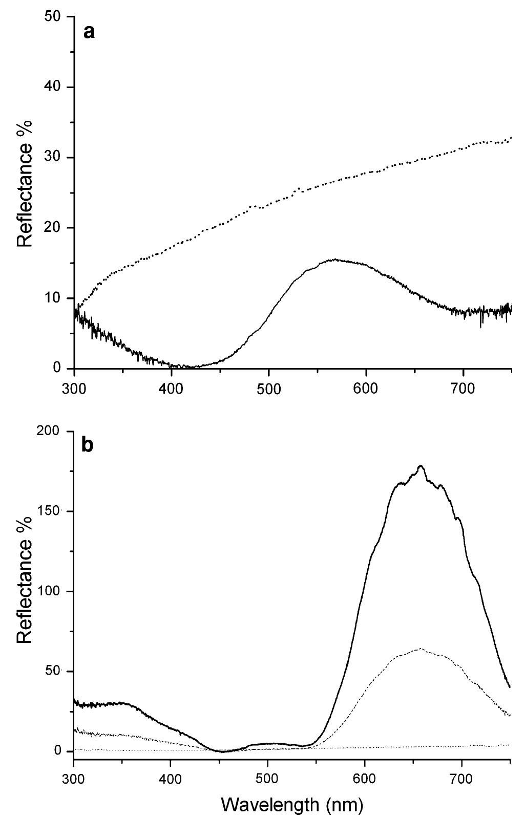 A spectral reflectance of ventral (dots) and dorsal