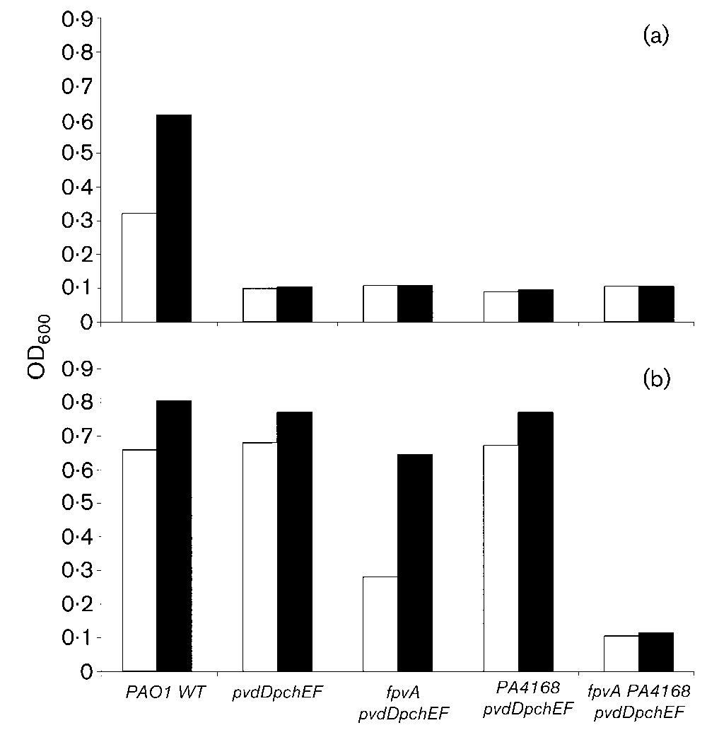 Growth of wild-type p. aeruginosa pao1 and corre- sponding