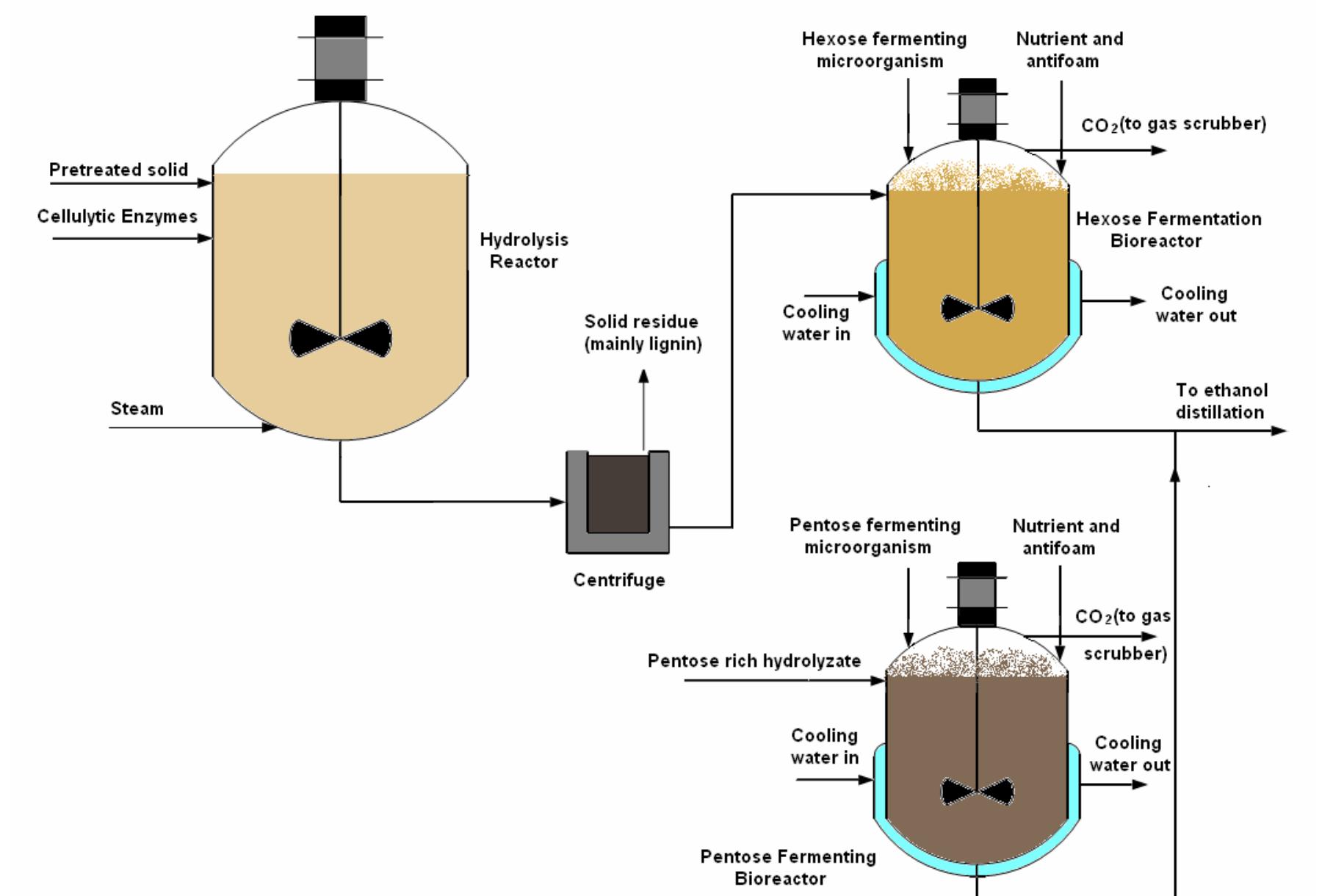 Figure 3 - from Enzymatic-Based Hydrolysis Processes for
