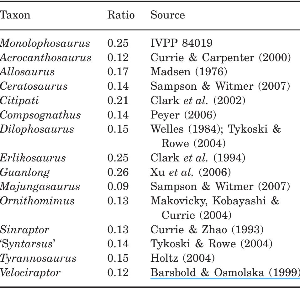 PDF) The skull of Monolophosaurus jiangi (Dinosauria: Theropoda