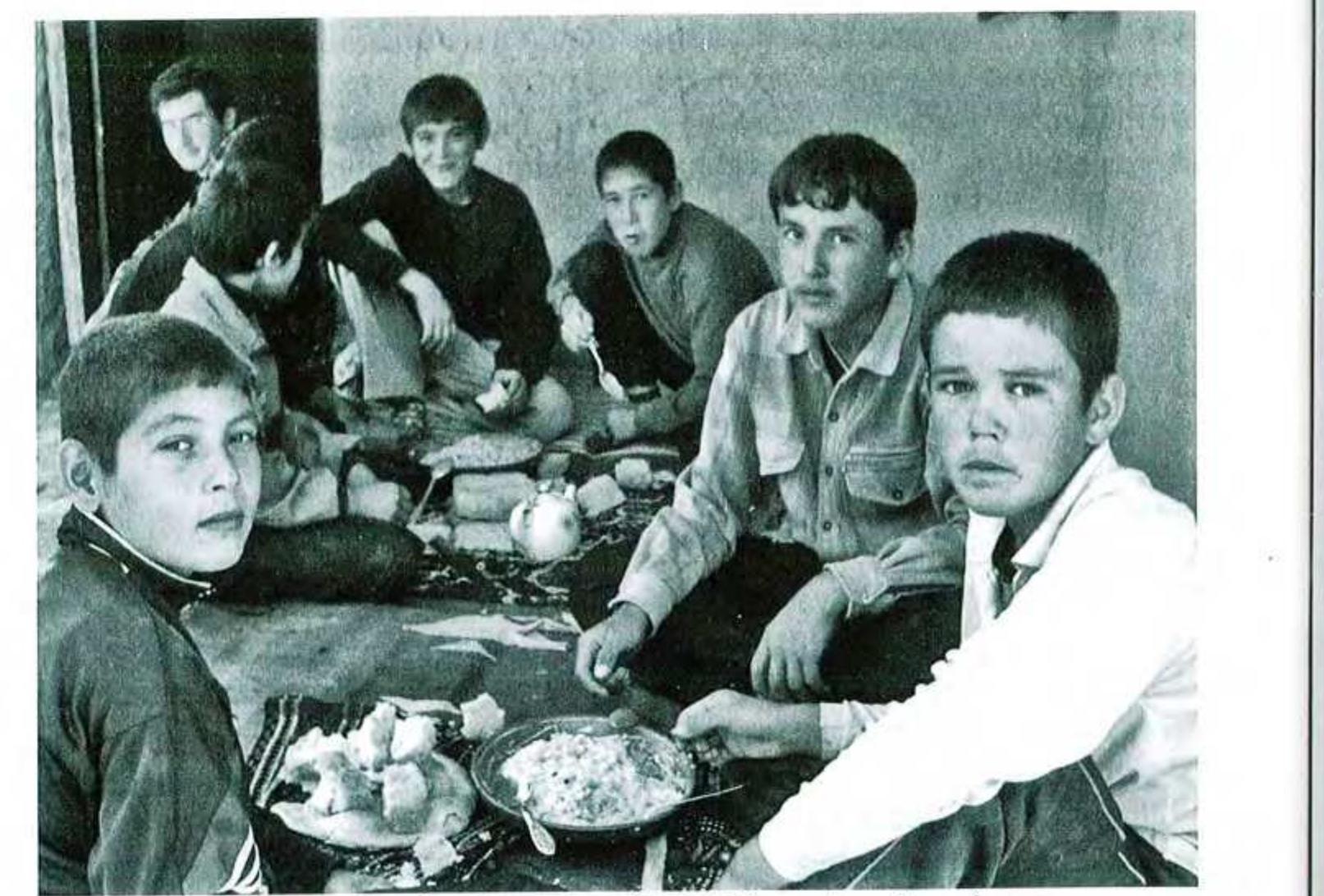 Bir etuk nemis ayol eshakda becerdin edi