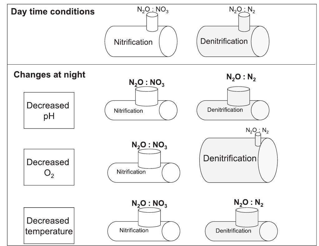 Nitrification O2 (PDF) Night and day: short-term variation in nitrogen chemistry and ...