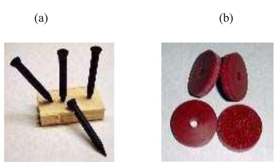 PDF) Automated individual tree measurement through morphological