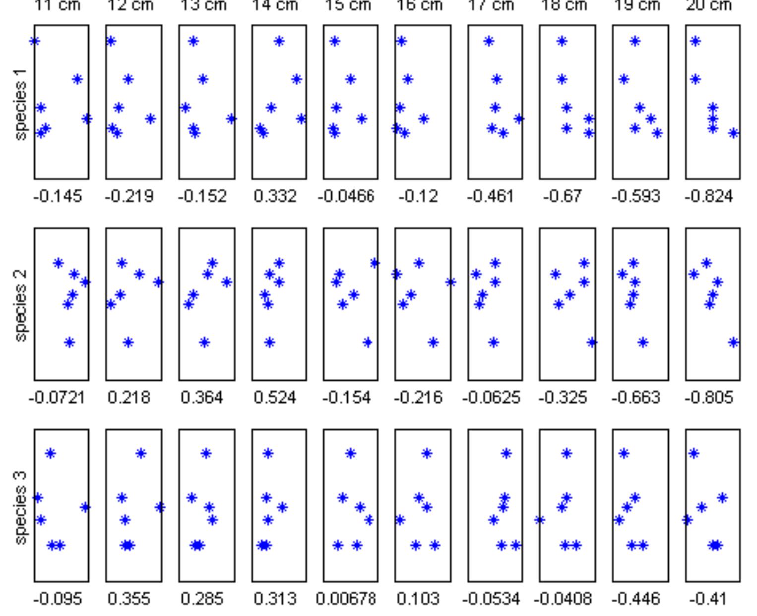 PDF) Automated individual tree measurement through morphological