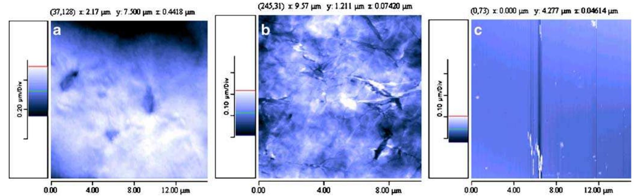 Afm images of polymer films surface based on a pegd,ipla