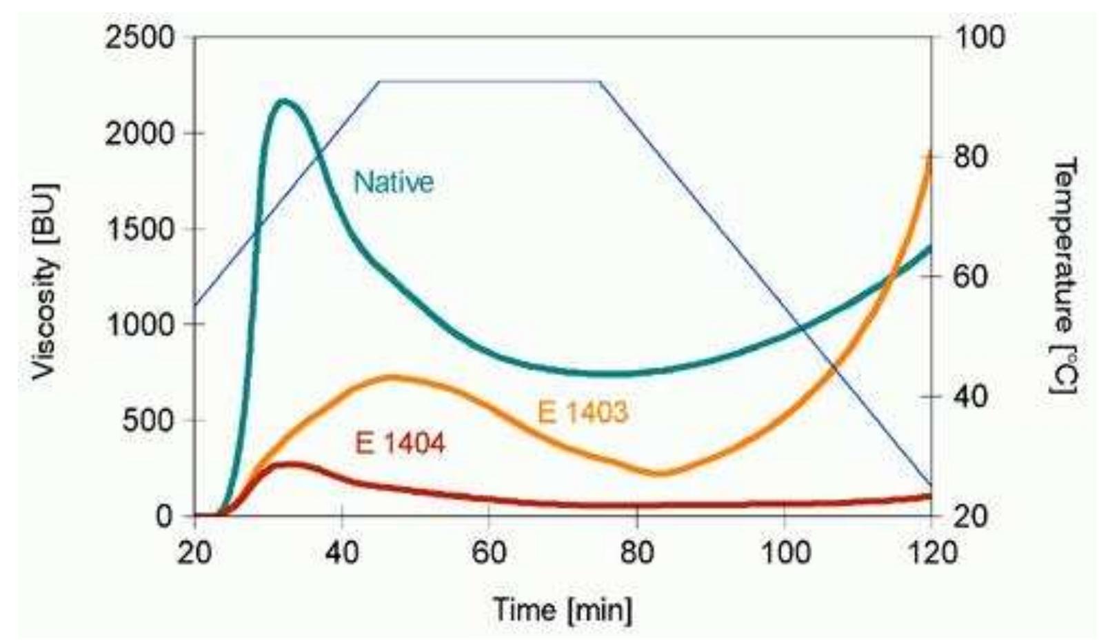 Fig. 3. Brabender viscosity curves for 6% suspensions of native and oxidised starches  A typical concentratio measurements were done un nufacturing of the E f starch that it was in that case  for mal viscosity | of charact 6%. Under  swellin  tics of oxidi these expe  narrow temperature ran  al  nd E  easurement (Fig. 3). reparation which was  SSO  gestibility.  sed s  my  g characteristics, typ  404 revealed sim  Th  n valu  men  tal conditions ical of tuber s  ge al  e only exception higher than in case of nati cteristics presented by all sorts of starch s ution were relatively easy and did not clari scosity accompanying the oxidation of starch could n  nd the occurrence of ilar type of swelli  ns. However hypochlori  native potato starch (Fig. 3  e usually applied to potato starch is 3.3%, and most of o der such conditio 403 and 1404  te modification preparations) caused so significant decrease immeasurably low. Consequently the pasting tarches E 1403 and E 1404 were determin  ur (applied in the  ed at a concentration of  revealed a hig  tarch, with a rapid increase  ng characteri  nal val ive starch. High type hown at fig. 1 pointed ify chai  was fi  in viscosity within a viscosity peak. Modified starches E stics. Drop in viscosity, menti above, depended on the degree of oxidation and was observed within almost all range of the ue of viscosity of the E 1403  of swelling that process of  h type of a  403  oned  nges in digestibility. Also a drop in ot be the reason of the decrease of 