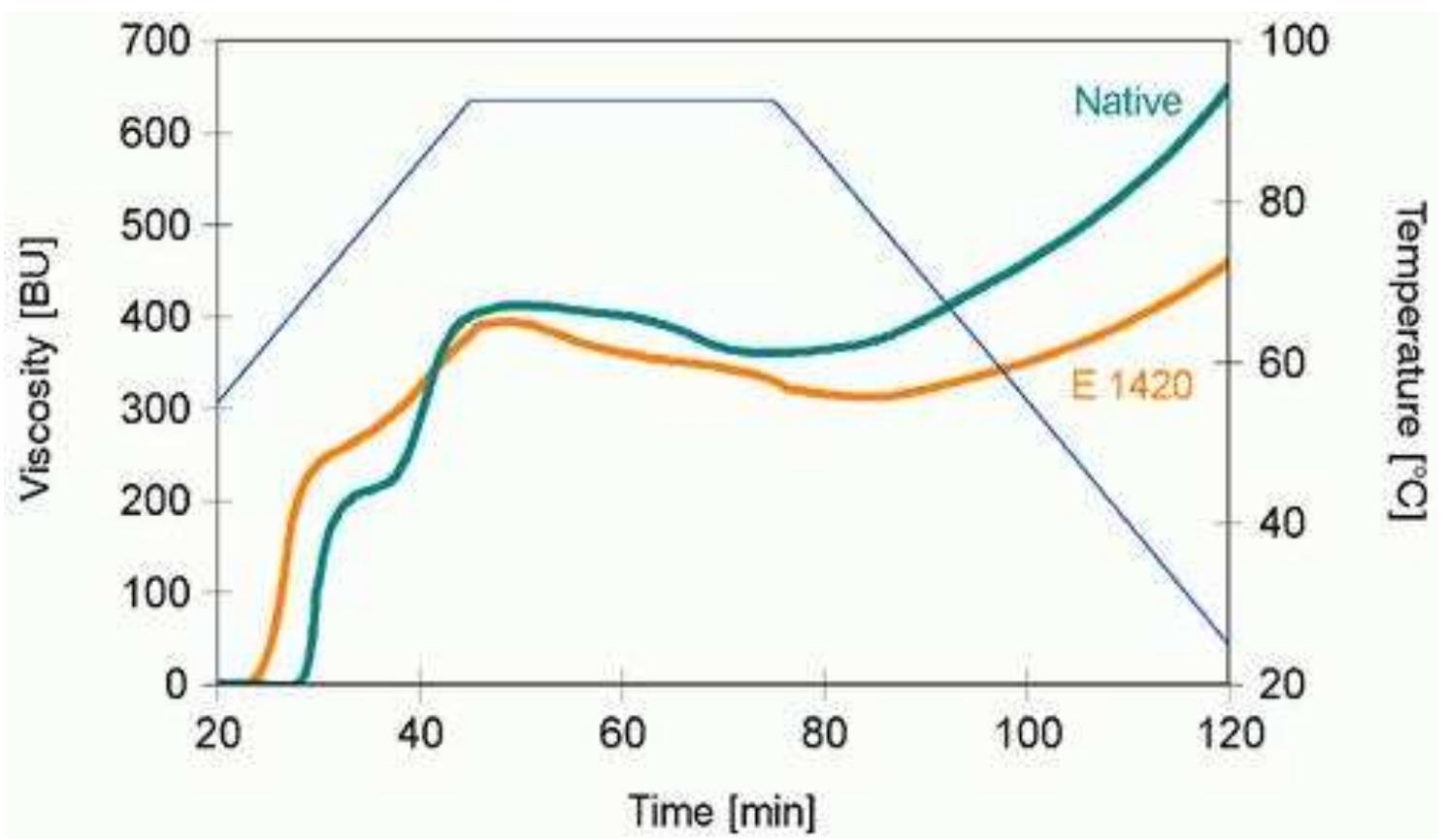 Fig. 4. Brabender viscosity curves for 3.3 % suspensions of native and acetylated starches  Cross-linked starch: distarch phosphate E 1412, acetylated distarch p containing 0.8% of acetyl groups, and acetylated distarch adipate E 1 acetyl groups, were also investigated. These group of modified s of swelling characteristic with a progressi and lack of a viscosity peak (Fig. 5). The indicated a more difficult dissolving of th ity. Paradoxically, distarch phosphate E 1412 rev teristics revealed almost unchanged digesti  digestibi swelling charac onsequ  influenci  ing digestibility. A cetylated distarch adipa ross-linked types of starch with higher acetyl groups con  ve rise in viscosi  e starch and cou  ently the solubility of starch could not be  1420 it reveal  n digestibility.  ed lower pasting temperature. These obse  more restricted t  te E 1422, s tent, likewise with acetylated starcl  hosph tarch  Swe  the most  regarded as  tandin  rvation indicated  rocess caused a decrease in pasting temperature of starch,  in compari the most important  ate E 1414  422 containing 1.2% of showed a changed typ ra wide temperature range ling characteristic  e reason of the reduction of  restricted type of son with native  g out from other  that the acetylatio  but did not exp  ain the difference 