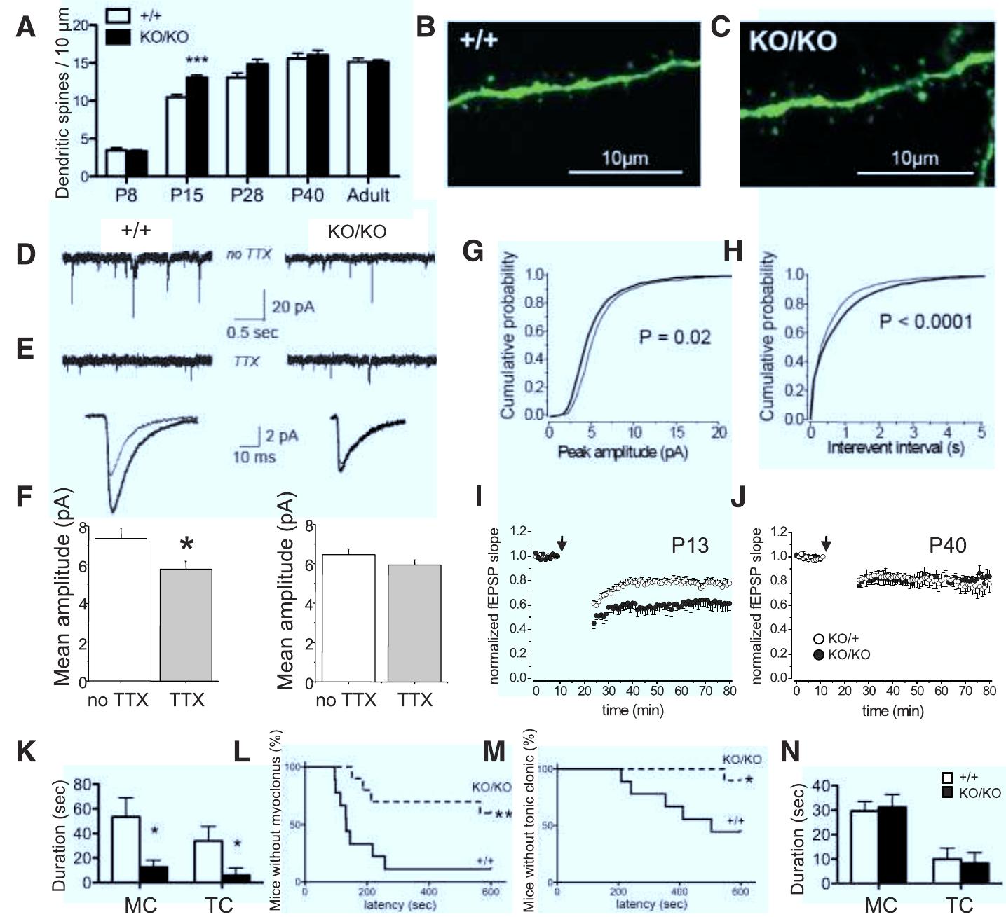(PDF) Synaptic Pruning by Microglia Is Necessary for Normal Brain ...